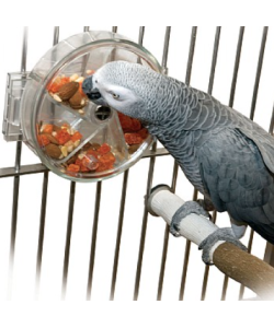 Original Foraging Wheel - Interactive Creative Parrot Toy